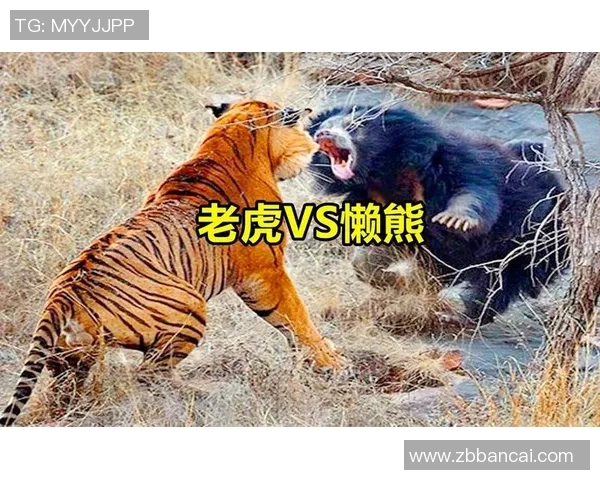 老虎竞技与兵工厂激战正酣谁将赢得这场精彩对决的胜利