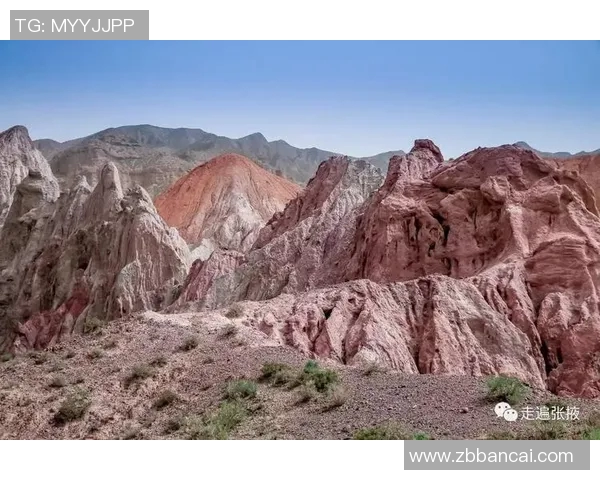 对话杨芳：探索滑板世界中的梦想与挑战MBA