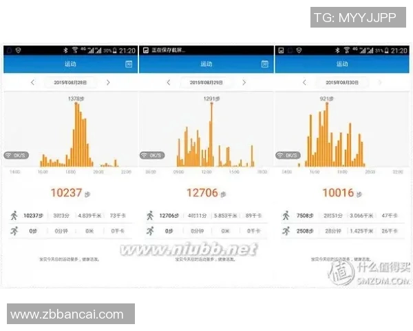数据分析揭示WE战队在赛事中的实力与表现全景解析