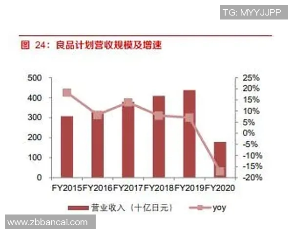 杭州网球队配合分析：战术执行与团队默契的深度对比探讨MBA