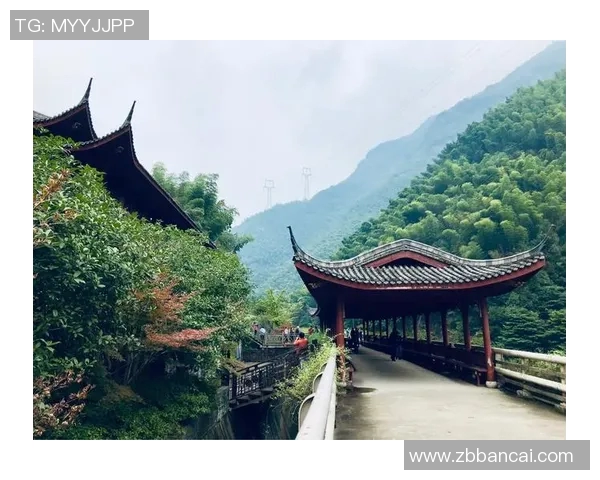 明星们的搞笑篮球赛场趣事大揭秘欢乐瞬间不断引发笑声与感动