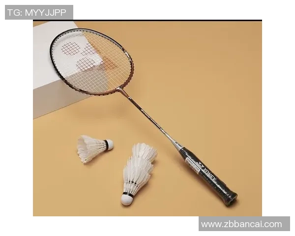 排球装备选购指南：精选优质球拍推荐与使用技巧分享