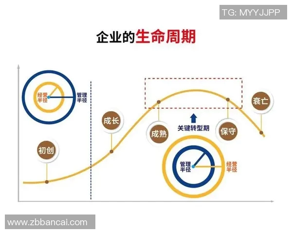 代怀博的成长之路与未来发展展望:从初创到行业领军的蜕变历程 代怀博的成长之路与未来发展展望:从初创到行业领军的蜕变历程